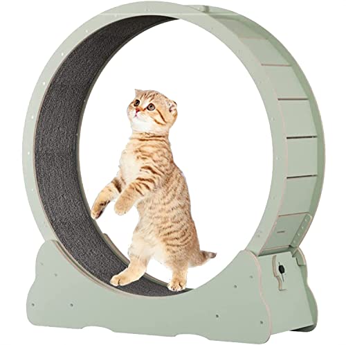 Großes Katzenrad-Trainingsgerät mit Teppich-Laufsteg, Katzen-Übungsrad für Indoor-Übungen, rundes Katzenlaufband für kleine/mittelgroße Haustiere, XL-Grün Großes Katzenrad-Trainingsgerät mit Teppich-Laufsteg, Katzen-Übungsrad für Indoor-Übungen, rundes Katzenlaufband für kleine/mittelgroße Haustiere, XL-Grün von Generisch