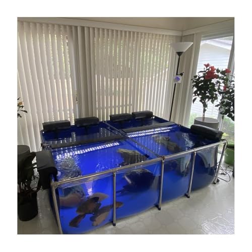 Großes transparentes Sichtfeld für Hinterhof, Aquarium, Pool, Teich, PVC-Leinwand, Fischteich mit Stahlrahmen und Ablaufventil, Zuchtwassertank für Koi-Goldfische, Ausstellungsbecken (100,1 x 70,1 x Großes transparentes Sichtfeld für Hinterhof, Aquarium, Pool, Teich, PVC-Leinwand, Fischteich mit Stahlrahmen und Ablaufventil, Zuchtwassertank für Koi-Goldfische, Ausstellungsbecken (100,1 x 70,1 x von Generisch
