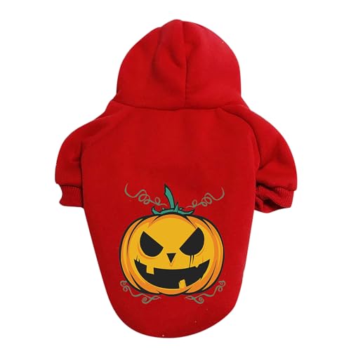 Halloween Kürbis Hundepullover Haustierpullover Haustierkleidung Teddy Hundekostüm Stilvolle Halsbänder mit Kleidung (Red, A) von Generisch