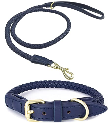 Hundehalsband und Leine im Set (Marineblau), rund geflochten, Gold, Zeitloses Design von Generisch