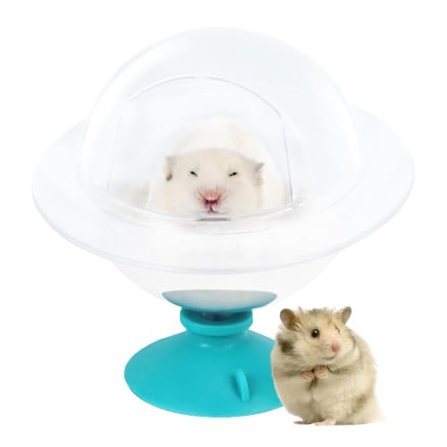 Hamster-Badewanne – Duschraum, Badeschale, Katzentoilette, Sandbad, Entspannungshaus, Kleintier-Lebensraum, Badehaus für Rennmäuse, syrischer Hamster Hamster-Badewanne – Duschraum, Badeschale, Katzentoilette, Sandbad, Entspannungshaus, Kleintier-Lebensraum, Badehaus für Rennmäuse, syrischer Hamster von Generisch