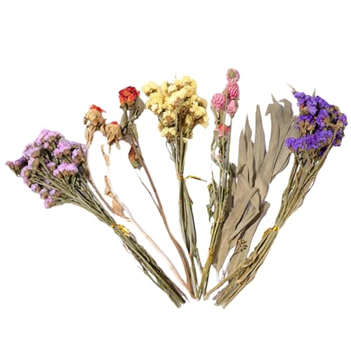 Hamster Einstreu - Natürlich Getrocknete Blumen,Geblümtes Hamsterkäfig Zubehör Für Sommer Desodorierungs Und Landschafts Zubehör, Rennmäuse, Degus Oder Kleintiere Hamster Einstreu - Natürlich Getrocknete Blumen,Geblümtes Hamsterkäfig Zubehör Für Sommer Desodorierungs Und Landschafts Zubehör, Rennmäuse, Degus Oder Kleintiere von Generisch