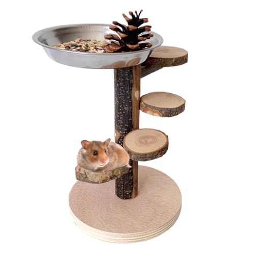 Hamster Holzleiter - Nagerleiter aus Holz mit Spielplatz für Käfigausstattung,Kletter- und Bewegungsspielzeug für Kleintiere wie Chinchilla, Eichhörnchen und Rennmäuse zur Käfigbeschäftigung von Generisch