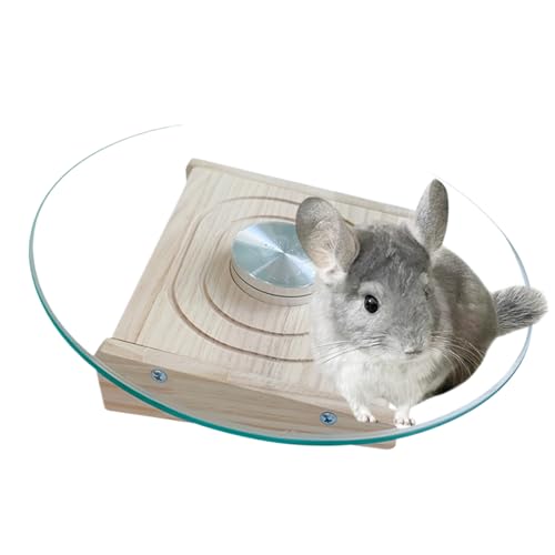 Hamster-Laufrad – Metall Leise Hamsterübung | 11,42 Zoll Kleines Haustier Übungsspielzeug | Leiser Metall-Spinner | Kompakter Lebensraum Artikel mit Kugellagern für Szenario in Indoor-Haustierkäfigen Hamster-Laufrad – Metall Leise Hamsterübung | 11,42 Zoll Kleines Haustier Übungsspielzeug | Leiser Metall-Spinner | Kompakter Lebensraum Artikel mit Kugellagern für Szenario in Indoor-Haustierkäfigen von Generisch