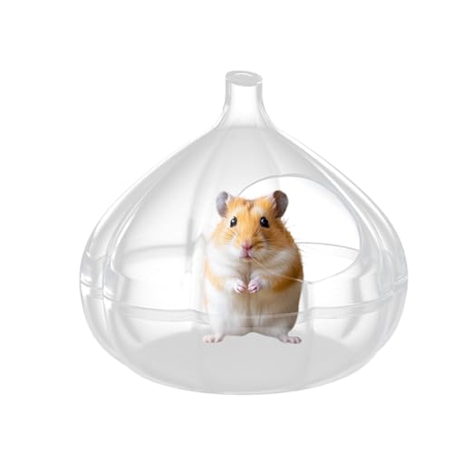 Hamster Sandbad Behälter, Transparentes Hamster Badehaus In Knoblauchform, Kleintier-Spielzeug zum Baden, Reinigen, Spielen, Erkunden & Schlafen für Lemminge und Gerbile Hamster Sandbad Behälter, Transparentes Hamster Badehaus In Knoblauchform, Kleintier-Spielzeug zum Baden, Reinigen, Spielen, Erkunden & Schlafen für Lemminge und Gerbile von Generisch