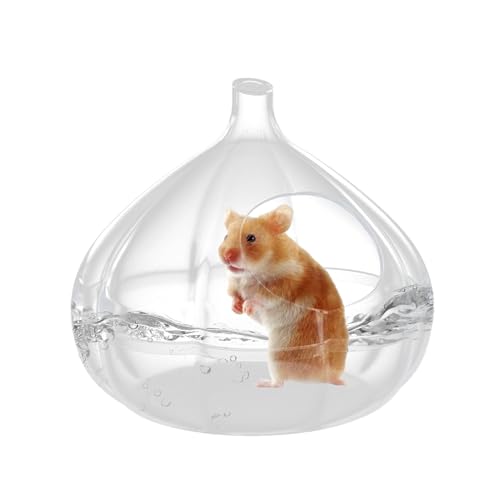 Hamster Sandbad -Transparenter Hamster Sand Badezimmer | Hamster Toilette | Staubbad-Behälter In Knoblauchform | Badehaus für Hamster, Lemminge, Rennmäuse, Kleintierkäfig, Zuhause Hamster Sandbad -Transparenter Hamster Sand Badezimmer | Hamster Toilette | Staubbad-Behälter In Knoblauchform | Badehaus für Hamster, Lemminge, Rennmäuse, Kleintierkäfig, Zuhause von Generisch