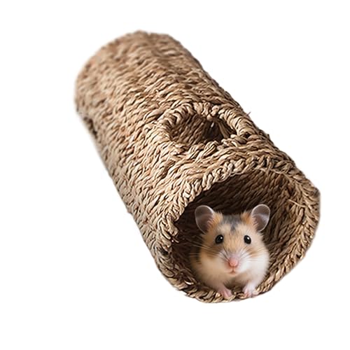 Hamster Tunnel Spielzeug | Hamster Röhren & Tunnel System - Kaugeeignetes Interaktives Sicher Spielzeug Zur Bewegungsförderung Und Käfigbereicherung Für Kleintiere Mit Beschäftigungsspaß Für Innenräum von Generisch