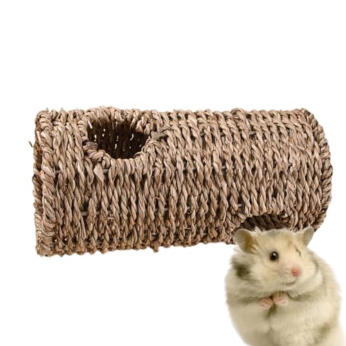 Hamster-Tunnelspielzeug – langlebiger Hamsterkäfig-Tunnel | kauresistente interaktive Bewegungsstimulation | geeignet für Indoor-Aktivitäten, Spaß, kleine Haustiere, Käfigbereicherung und Training Hamster-Tunnelspielzeug – langlebiger Hamsterkäfig-Tunnel | kauresistente interaktive Bewegungsstimulation | geeignet für Indoor-Aktivitäten, Spaß, kleine Haustiere, Käfigbereicherung und Training von Generisch