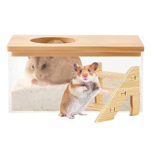 Hamsterbad Sandbehälter – geräumiger Haustierbad Sandbehälter transparent | Kleintiertoilette Rennmaus | Hamster-Badewanne mit Leiter für Schlafzimmer, Wohnzimmer Hamsterbad Sandbehälter – geräumiger Haustierbad Sandbehälter transparent | Kleintiertoilette Rennmaus | Hamster-Badewanne mit Leiter für Schlafzimmer, Wohnzimmer von Generisch