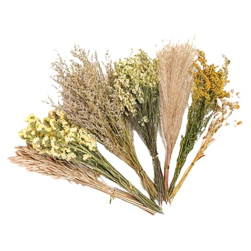 Hamsterblumenstreu | Zubehör für Blumenhamsterkäfig | Natürliches Thema Käfig Dekoration Blume Hamster Bettwäsche Käfig Zubehör für Rennmäuse Hamsterblumenstreu | Zubehör für Blumenhamsterkäfig | Natürliches Thema Käfig Dekoration Blume Hamster Bettwäsche Käfig Zubehör für Rennmäuse von Generisch