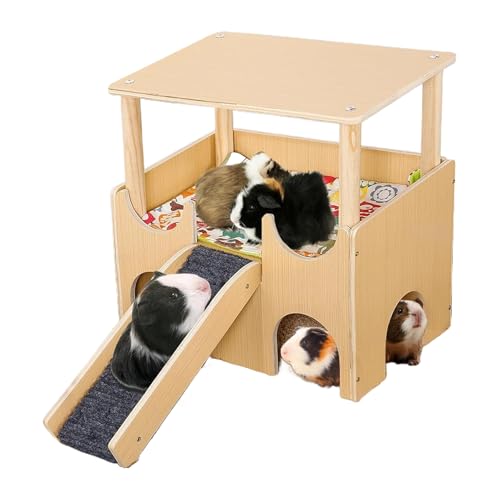 Hamsterhaus - kleines Tierspielzeug Schutz mit Leiter, Doppelschichtspiel -Design, kauem Widerstand langlebigem Material, geräumiger Lebensraumspielplatz | Kaninchen Frettchen Chinchilla Cag Hamsterhaus - kleines Tierspielzeug Schutz mit Leiter, Doppelschichtspiel -Design, kauem Widerstand langlebigem Material, geräumiger Lebensraumspielplatz | Kaninchen Frettchen Chinchilla Cag von Generisch