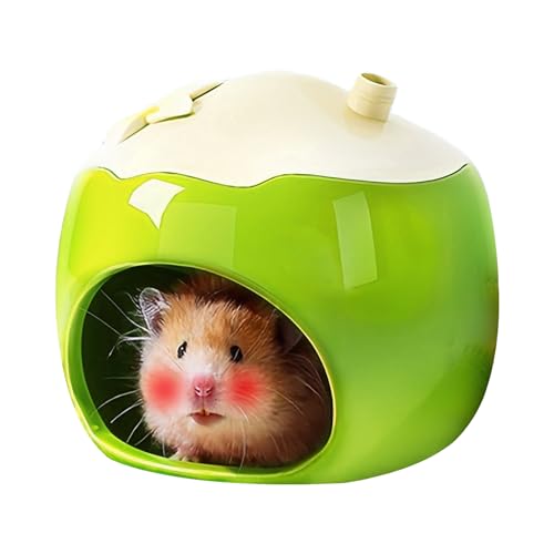 Hamsterhausbett - Keramikkühlungsnest | Hohldesign Versteck für kleine Tiere | Idealer Lebensraum für Eichhörnchen, Igel, Rennmäuse, Chinchillas | Hält Haustiere bequem und kühl Hamsterhausbett - Keramikkühlungsnest | Hohldesign Versteck für kleine Tiere | Idealer Lebensraum für Eichhörnchen, Igel, Rennmäuse, Chinchillas | Hält Haustiere bequem und kühl von Generisch