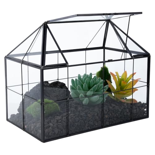 Handgefertigtes Glas-Terrarium mit geometrischer Form und Deckel, perfekt für Sukkulenten und Luftpflanzen von Generisch