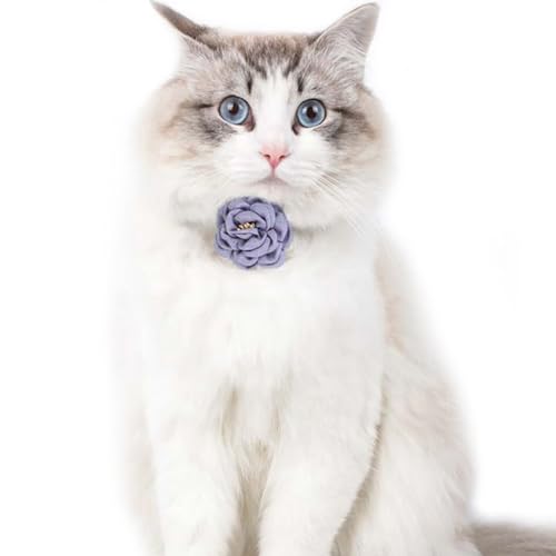 Handgefertigtes Halsband für Kätzchen, Blume, atmungsaktiv, einzigartiges Garn, verstellbares Accessoire, Katze von Generisch