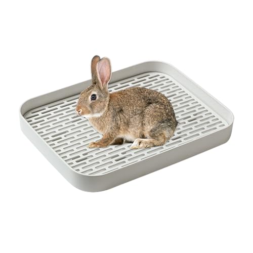Hasen-Katzentoilette, Häschen-Töpfchen-Box | Quadratischer Käfig-Töpfchentrainer | Haustier-Toiletten-Häschenbox, Katzentoilette für ausgewachsene Meerschweinchen, Hamster, Kleintiere Hasen-Katzentoilette, Häschen-Töpfchen-Box | Quadratischer Käfig-Töpfchentrainer | Haustier-Toiletten-Häschenbox, Katzentoilette für ausgewachsene Meerschweinchen, Hamster, Kleintiere von Generisch