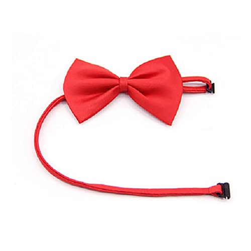 Haustier-Hundehalsband, 1 Stück, nützlich, gestreift, Schleife, Hund, Katze, Halskette, Hundezubehör, verstellbare Haustier-Halskette, Halsband, niedlich, praktisches Hundezubehör von Generisch