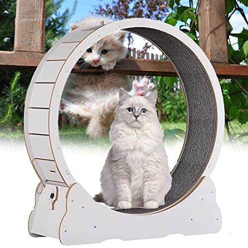 Haustier-Laufmaschine, Katzenrad, Laufrad für Indoor-Katzen, Gewichtsverlust, Hamster, Kätzchen, Spielzeug, Kratzbaum, alle Dinge laufen, kratzen, klettern, Weiß-M Haustier-Laufmaschine, Katzenrad, Laufrad für Indoor-Katzen, Gewichtsverlust, Hamster, Kätzchen, Spielzeug, Kratzbaum, alle Dinge laufen, kratzen, klettern, Weiß-M von Generisch