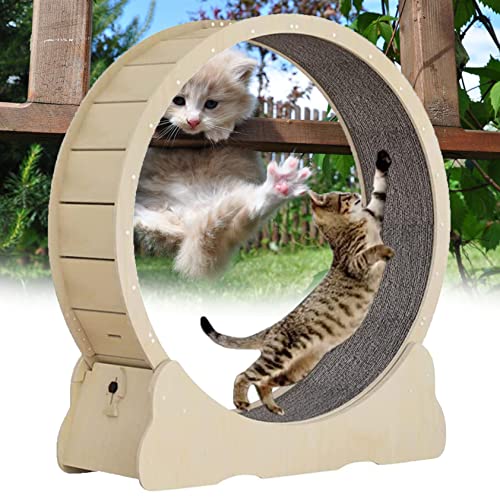 Haustier-Laufmaschine, Katzenrad, Laufrad für Indoor-Katzen, Gewichtsverlust, Hamster, Kätzchen, Spielzeug, Kratzbaum, alle Dinge laufen, kratzen, klettern, Weiß-M Haustier-Laufmaschine, Katzenrad, Laufrad für Indoor-Katzen, Gewichtsverlust, Hamster, Kätzchen, Spielzeug, Kratzbaum, alle Dinge laufen, kratzen, klettern, Weiß-M von Generisch