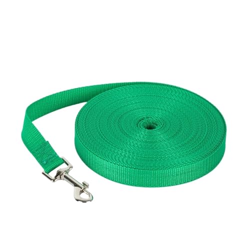 Haustier-Leine, Seil, Outdoor-Training, Laufen, Hundeleine, Gürtelleine für kleine und große Hunde, Grün, 5 m von Generisch