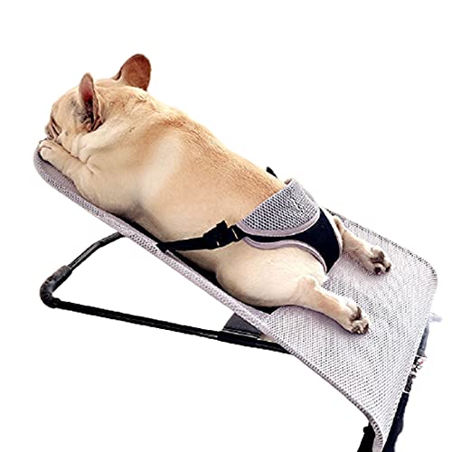 Haustier-Schaukelstuhl-Bett für Teddy-Hunde und Katzen, faltbares Federbett zum Schlafen, Sonnenbaden und Spielen, Liegestuhl, Zwinger mit Spielzeugaufbewahrung Haustier-Schaukelstuhl-Bett für Teddy-Hunde und Katzen, faltbares Federbett zum Schlafen, Sonnenbaden und Spielen, Liegestuhl, Zwinger mit Spielzeugaufbewahrung von Generisch