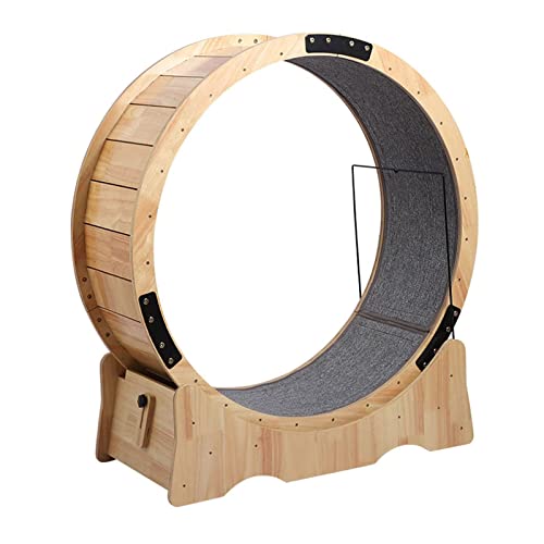Haustier-Trainingsrad für Hunde und Katzen, fördert Laufen, Spinnen, Kratzen, Klettern und Nickerchen, ideal für Indoor-Aktivitäten und Energiefreigabe Haustier-Trainingsrad für Hunde und Katzen, fördert Laufen, Spinnen, Kratzen, Klettern und Nickerchen, ideal für Indoor-Aktivitäten und Energiefreigabe von Generisch