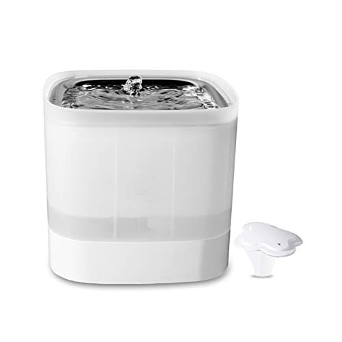 Haustierbrunnen 2.0L Automatischer Katzenwasserbrunnen Edelstahl Wassernapf Hund Wasserspender Dual Arbeitsmodus für Katzen, Hunde, Mehrere Haustiere Haustierbrunnen 2.0L Automatischer Katzenwasserbrunnen Edelstahl Wassernapf Hund Wasserspender Dual Arbeitsmodus für Katzen, Hunde, Mehrere Haustiere von Generisch