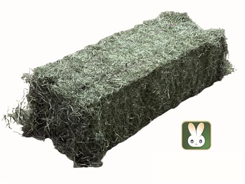 Heu á 25kg für Meerschweinchen und Kaninchen * Aktion * 2. Schnitt Soft * Warmluft getrocknet von Generisch