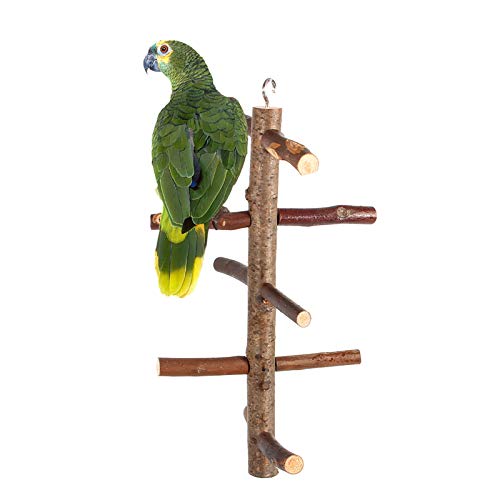 Holz-Sitzstangen für Vögel, 26 × 6 × 3, Vogel-Sitzstangen, Käfigständer, Spielzeug, hängende Holz-Aktivitätszweige, Klettertreppen von Generisch