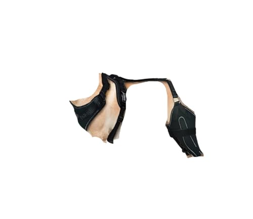 Hüftbandage für Hunde, verstellbar, für Hunde, Rücken- und Beinbandage, Hundepflege, Stützbandage für mittelgroße und große Hunde (L) von Generisch