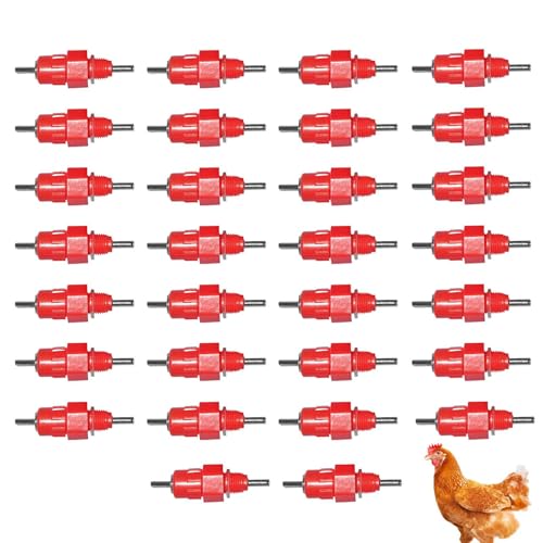 Hühner-Bewässerungsnippel – Nippelbewässerung für Hühnerstall | Hühner-Wasser-Futternippel, 30 x automatische Edelstahl-Küken-Futterspender für Wintergeflügel, Ente, Hasenstall, Ziegenstall Hühner-Bewässerungsnippel – Nippelbewässerung für Hühnerstall | Hühner-Wasser-Futternippel, 30 x automatische Edelstahl-Küken-Futterspender für Wintergeflügel, Ente, Hasenstall, Ziegenstall von Generisch