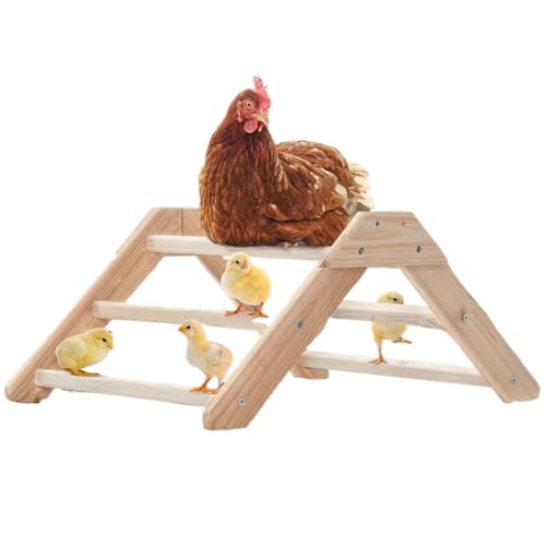 Hühner Sitzstangen Spielzeug | Holz Hühner Sitzstange | Multifunktioneller Trainingsstand Für Kleintiere Hamster Geflügel Hühner Sitzstangen Spielzeug | Holz Hühner Sitzstange | Multifunktioneller Trainingsstand Für Kleintiere Hamster Geflügel von Generisch