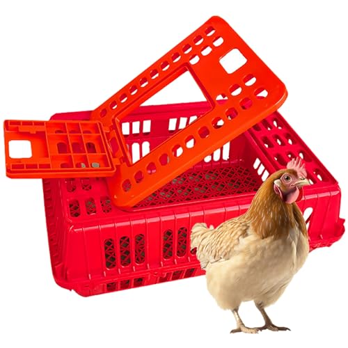 Hühner-Transportkiste Geflügelbox aus Kunststoff mit Doppeltüren für Vögel, Enten und Gänse von Generisch