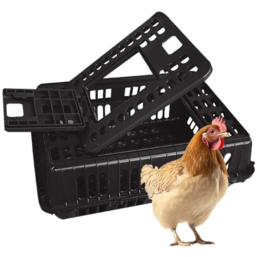 Hühner-Transportkiste Geflügelbox aus Kunststoff mit Doppeltüren für Vögel, Enten und Gänse von Generisch