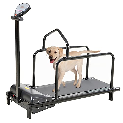 Hunde-Laufband für alle Hunde - Verstellbares Haustier-Laufgerät für kleine, mittlere & große Rassen | Indoor-Übungstrainer für hochenergetische Hunde von Generisch