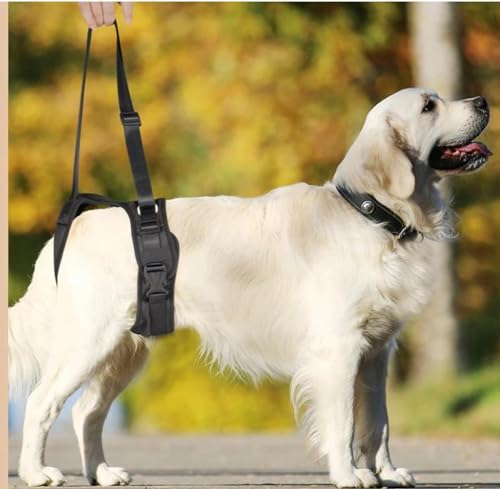 Hunde Schlingengeschirr: Unterstützung für Vorder- und Hinterbeine (L Hinterteil) von Generisch