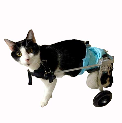 Hunde Stützgeschirr Rollstuhl für behinderte Haustiere, Rehabilitationshilfe Hinterbein für Katzen & Kaninchen, Mobilitätshilfe für Senioren & Verletzte Tiere von Generisch