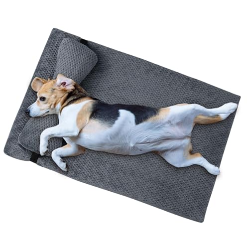 Hundebett | Haustierbett | Orthopädisches Hundebett | Hundematratze | orthopädische Schlafmatte mit abnehmbarem Kissen | rutschfeste Unterseite für Haustiere, Couch, Hundebett, Hundekäfigbett für Hundebett | Haustierbett | Orthopädisches Hundebett | Hundematratze | orthopädische Schlafmatte mit abnehmbarem Kissen | rutschfeste Unterseite für Haustiere, Couch, Hundebett, Hundekäfigbett für von Generisch