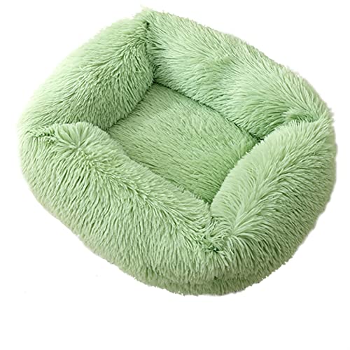 Hundebett mit gemütlicher Katzenmatte für kleine, mittelgroße und große Hunde – warm und bequem, perfekt für den Innenbereich, strapazierfähiger Stoff, leicht zu reinigen von Generisch