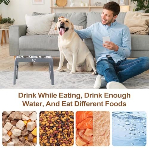 Hundefutter- Und Wassernapf Set | Hundefutter Behälter mit Ständer,Abnehmbares Zubehör rutschfeste Schüssel Für Hunde Katzen Welpen Hundefutter- Und Wassernapf Set | Hundefutter Behälter mit Ständer,Abnehmbares Zubehör rutschfeste Schüssel Für Hunde Katzen Welpen von Generisch