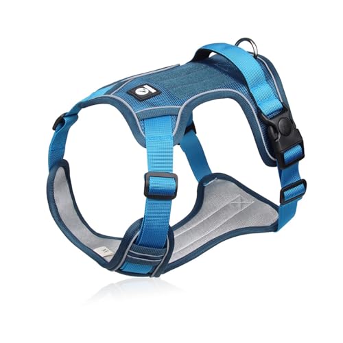 Hundegeschirr, reflektierend, mittelgroß, wasserdicht, Oxford-Stoff, Haustierzubehör, Blau, Größe S Hundegeschirr, reflektierend, mittelgroß, wasserdicht, Oxford-Stoff, Haustierzubehör, Blau, Größe S von Generisch