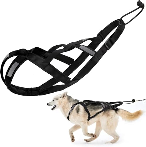 Hundegeschirr zum Ziehen, verstellbares Hundegeschirr für Schlittenübungen mit reflektierenden Streifen, Haustierschlitten, Radfahren, Skifahren, Laufen, Canicross, Rollen, für durchschnittliche Hunde von Generisch