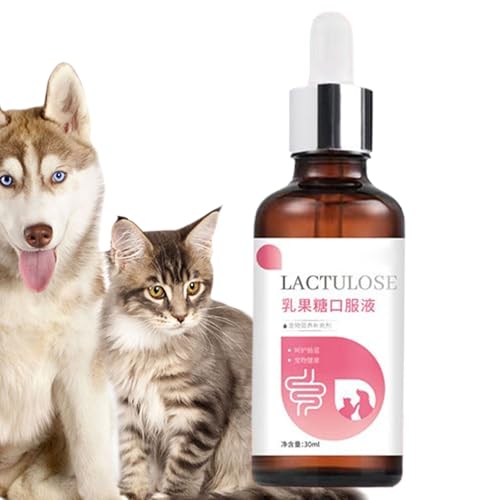 Hundegesundheitsbedarf | Nahrungsergänzung Für Katze 30ml,Sanfte Wellness Öltropfen Für Sichere Verdauung Absorption Pflege Von Haustieren Kätzchen Welpen Unterwegs Tägliche Pflege von Generisch