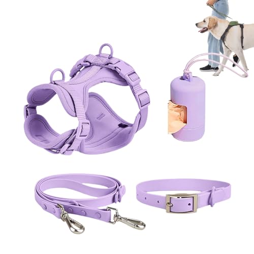 Hundegurt -Blei -Set - Kein Pull Pet Collar und Lash Combo, einstimmig einstellbares Design | Bequemer Wandergurt mit Poop -Beutelhalter, ideal für mittelgroße Hunde und Welpen im täglichen Gebrauch i Hundegurt -Blei -Set - Kein Pull Pet Collar und Lash Combo, einstimmig einstellbares Design | Bequemer Wandergurt mit Poop -Beutelhalter, ideal für mittelgroße Hunde und Welpen im täglichen Gebrauch i von Generisch