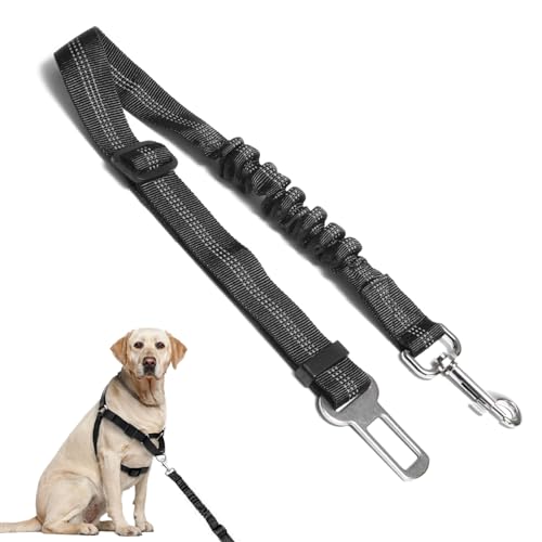 Anschnallgurt Hund Auto Verstellbar – Hundeanschnaller fürs Auto mit Elastischem Rückdämpfer, Nylon Sicherheitsgurt für Kleine und Mittelgroße Hunde, Passend für Alle Fahrzeugtypen, Schwarz Anschnallgurt Hund Auto Verstellbar – Hundeanschnaller fürs Auto mit Elastischem Rückdämpfer, Nylon Sicherheitsgurt für Kleine und Mittelgroße Hunde, Passend für Alle Fahrzeugtypen, Schwarz von Generisch