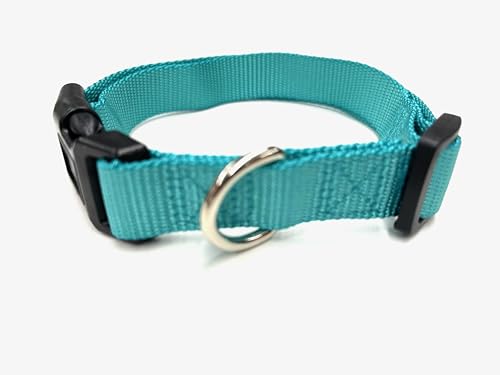 Hundehalsband, Nylon (S, Aquablau) von Generisch