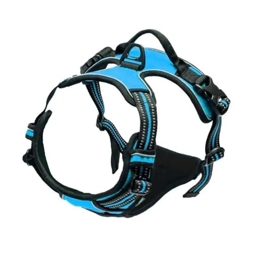 Hundehalsband, große Westen, Leine, alles für Hunde, Welpenzubehör, Größe M, S, Blau (Blau, M) von Generisch