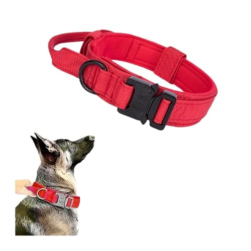 Hundehalsband und Leine, strapazierfähig, für Deutsche Schäferhunde (mittelgroße und große Hunde) (rotes Halsband, L-Halsumfang 45–55 cm) von Generisch