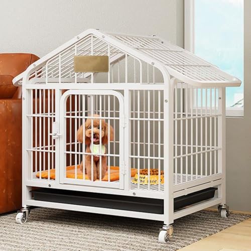 Hundekäfig Katzenkäfig Innengehege Abnehmbarer Draht Haustierbox 61 x 43,2 x 66 cm groß einlagig für Hasen, Welpen Hundekäfig Katzenkäfig Innengehege Abnehmbarer Draht Haustierbox 61 x 43,2 x 66 cm groß einlagig für Hasen, Welpen von Generisch