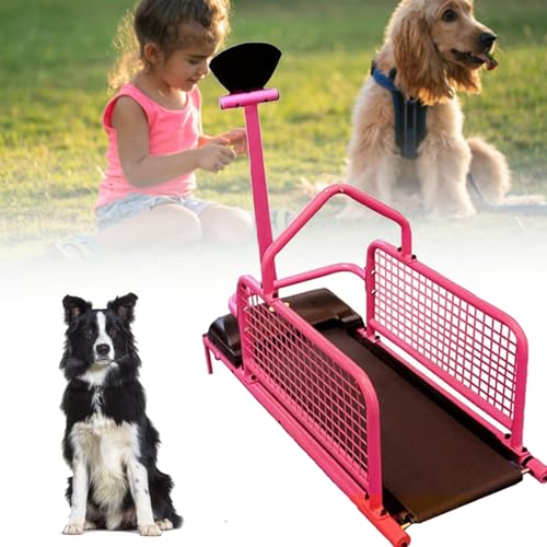 Hundelaufband für Hunde - Indoor-Laufband mit Display für Hundetraining und Gewichtsabnahme von Generisch