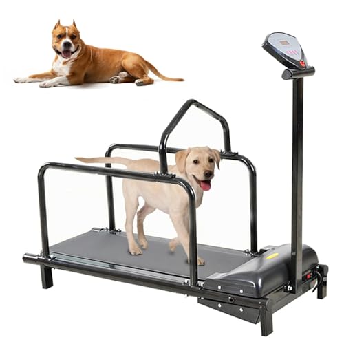Hundelaufband für kleine bis große Hunde, Indoor-Haustierlaufband mit Display, Tragkraft bis 80 kg von Generisch